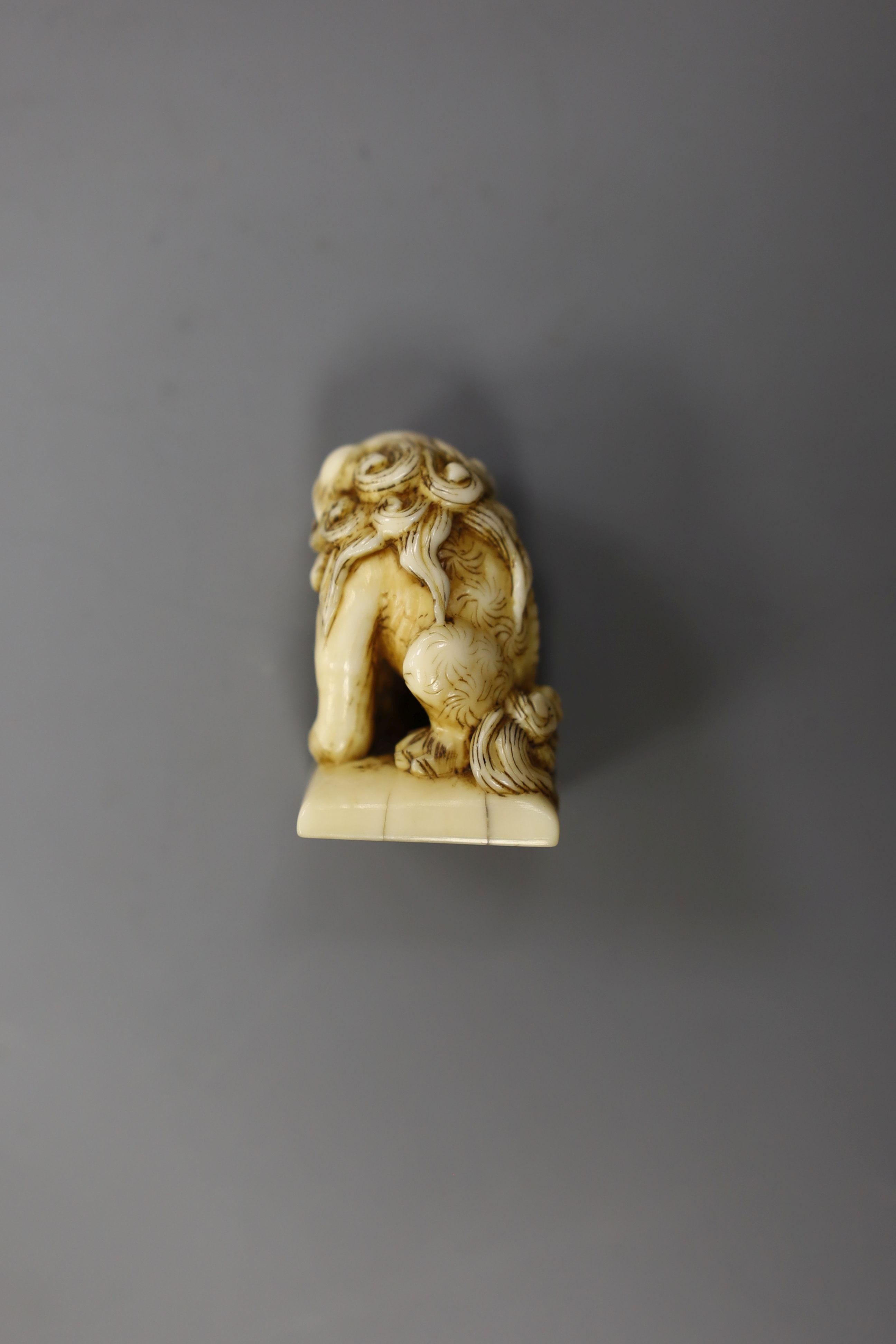 A Chinese or Japanese ivory lion dog 18th/19th century and a Chinese carved nut cup, 19th century. 4cm